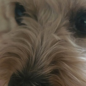 Fundraising Page: Melanie and Malena C